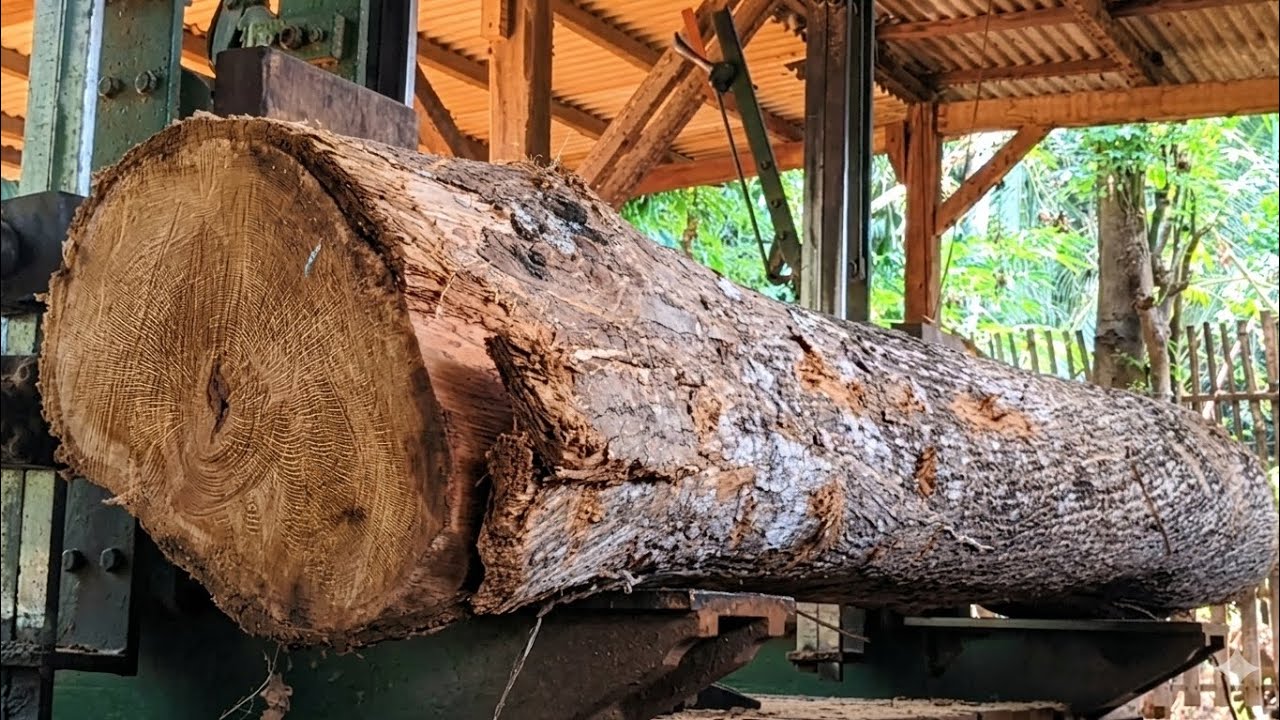 🪾 Очень красивая древесина красного дерева с выраженной и прочной текстурой.