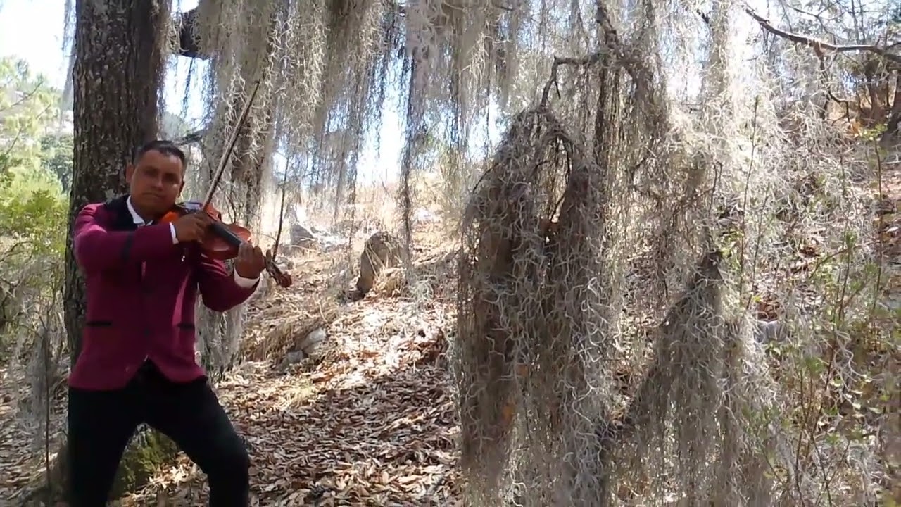 El son de mi abuelo - Heroes Hidalguenses