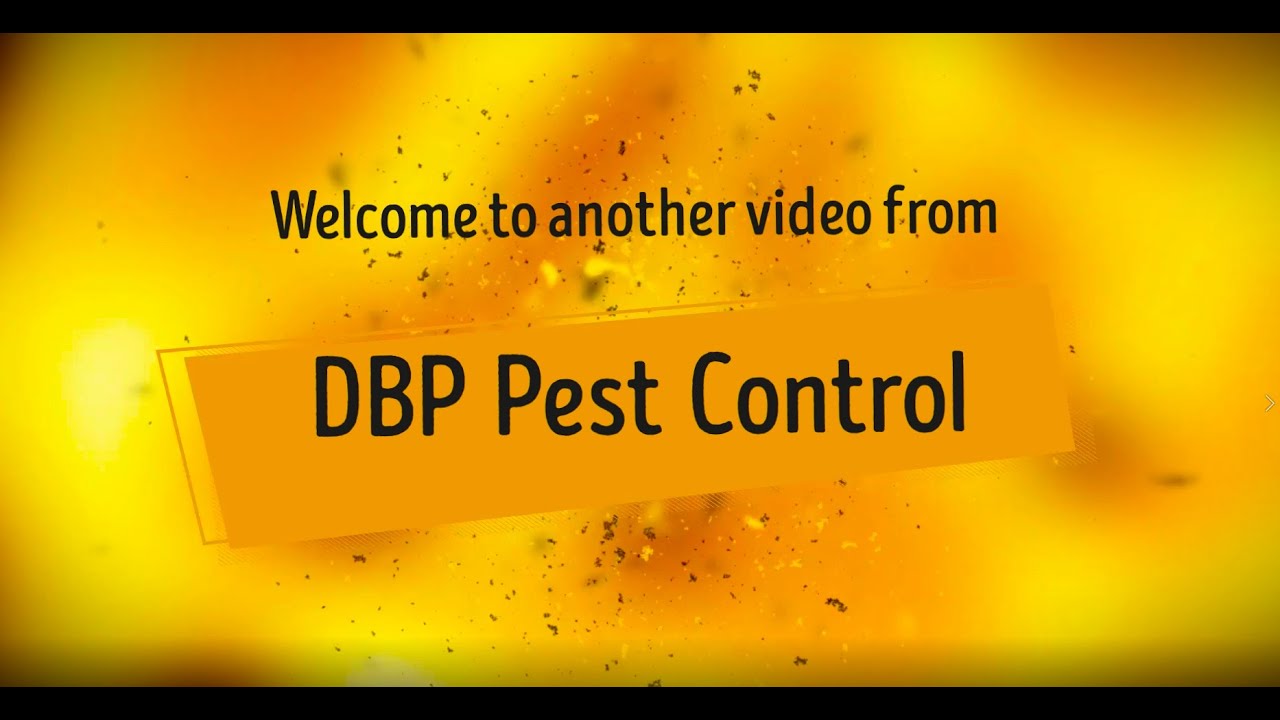 DBP Pest Control -  A night on the foxes and rats..