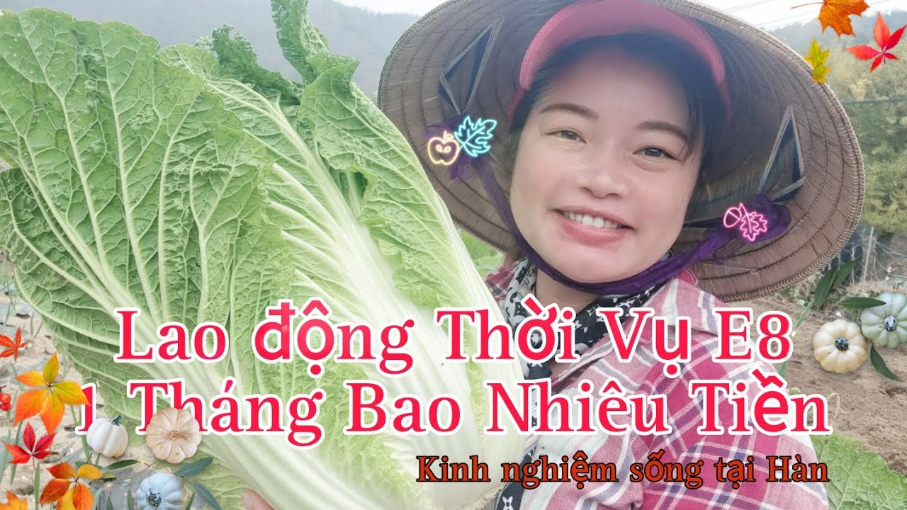 Daihan Chia Sẻ "Cuộc sống, Số Tiền Kiếm Được" từ Lao động Thời Vụ Hàn Quốc E8 (Quá Ít?)