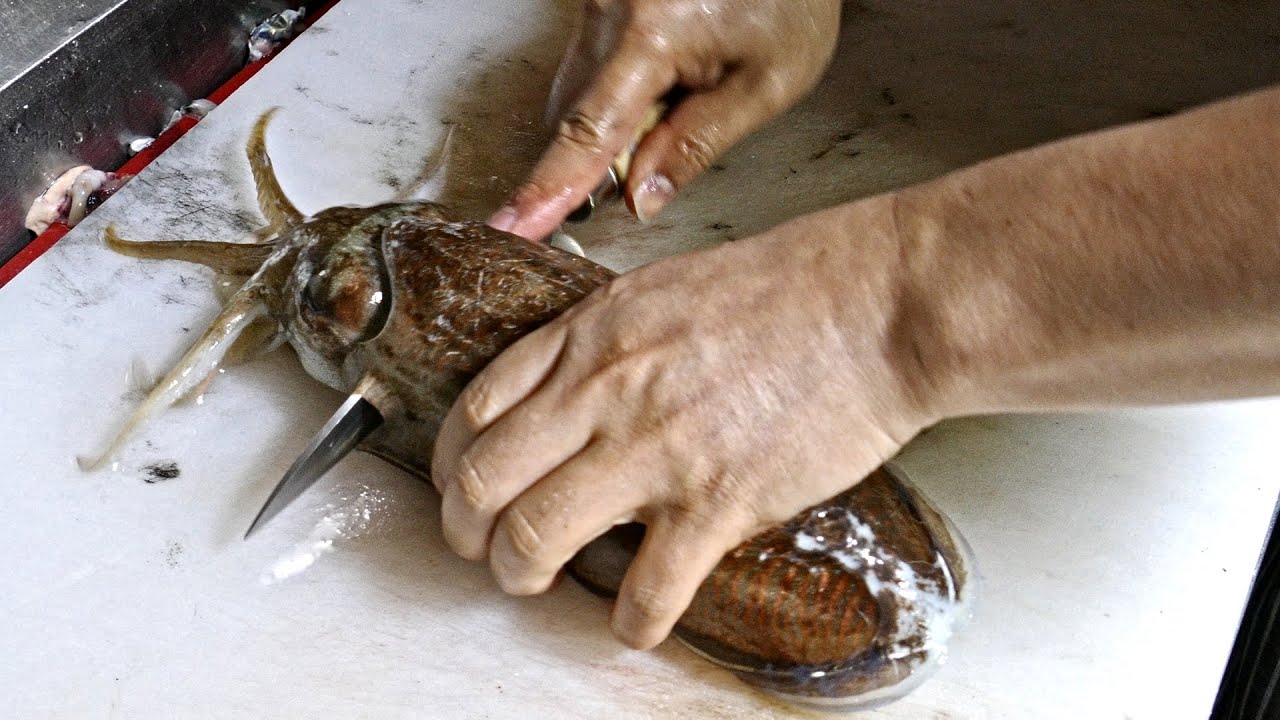 갑오징어 회뜨기 달인 / 오징어 마을 / amazing cutting cuttlefish fillet master / 甲イカの刺身 / Korean street food