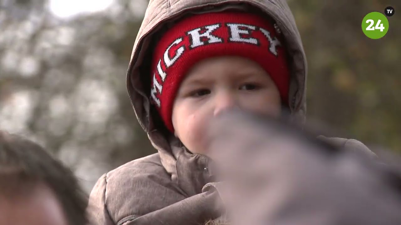 Sinterklaas feestelijk onthaald in Leenderstrijp en Leende (video)