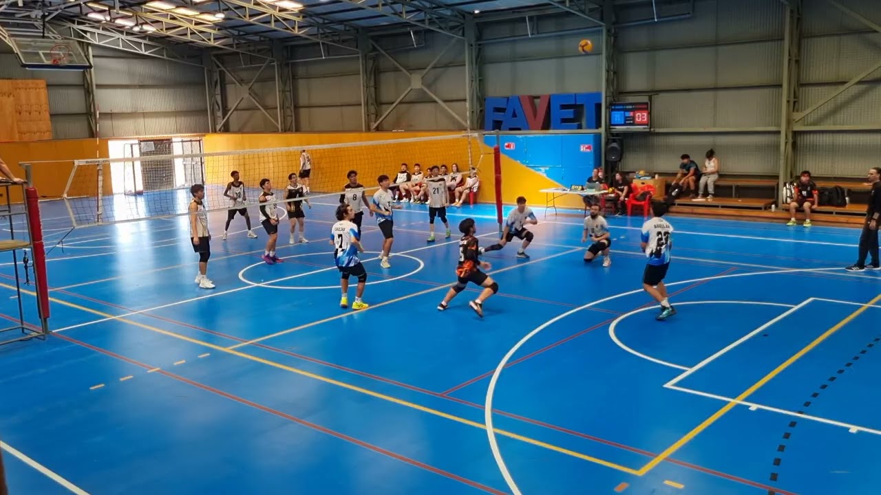 Massone VS Cougars | Partido 4 | Hexagonal Interfavet, enero 2026