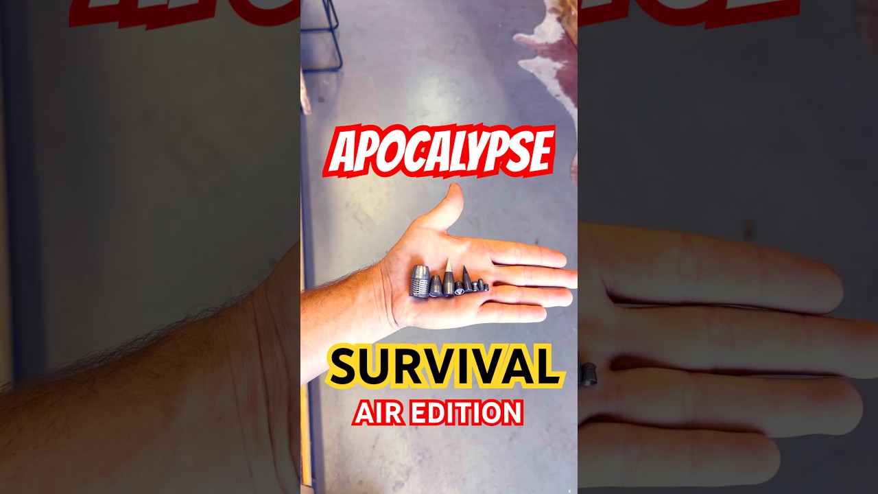 Best Air Rifle Caliber to Survive the Apocalypse #survival #apocalypse