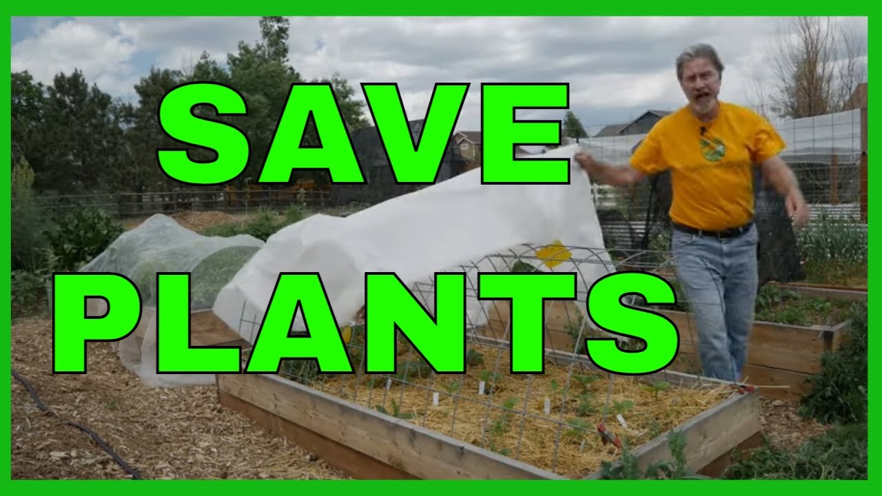 How to Protect Your Garden from Storms