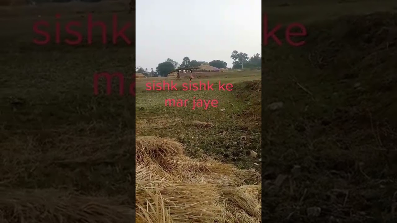 Sishak Sishak ke  Mar Jaaye Internship
