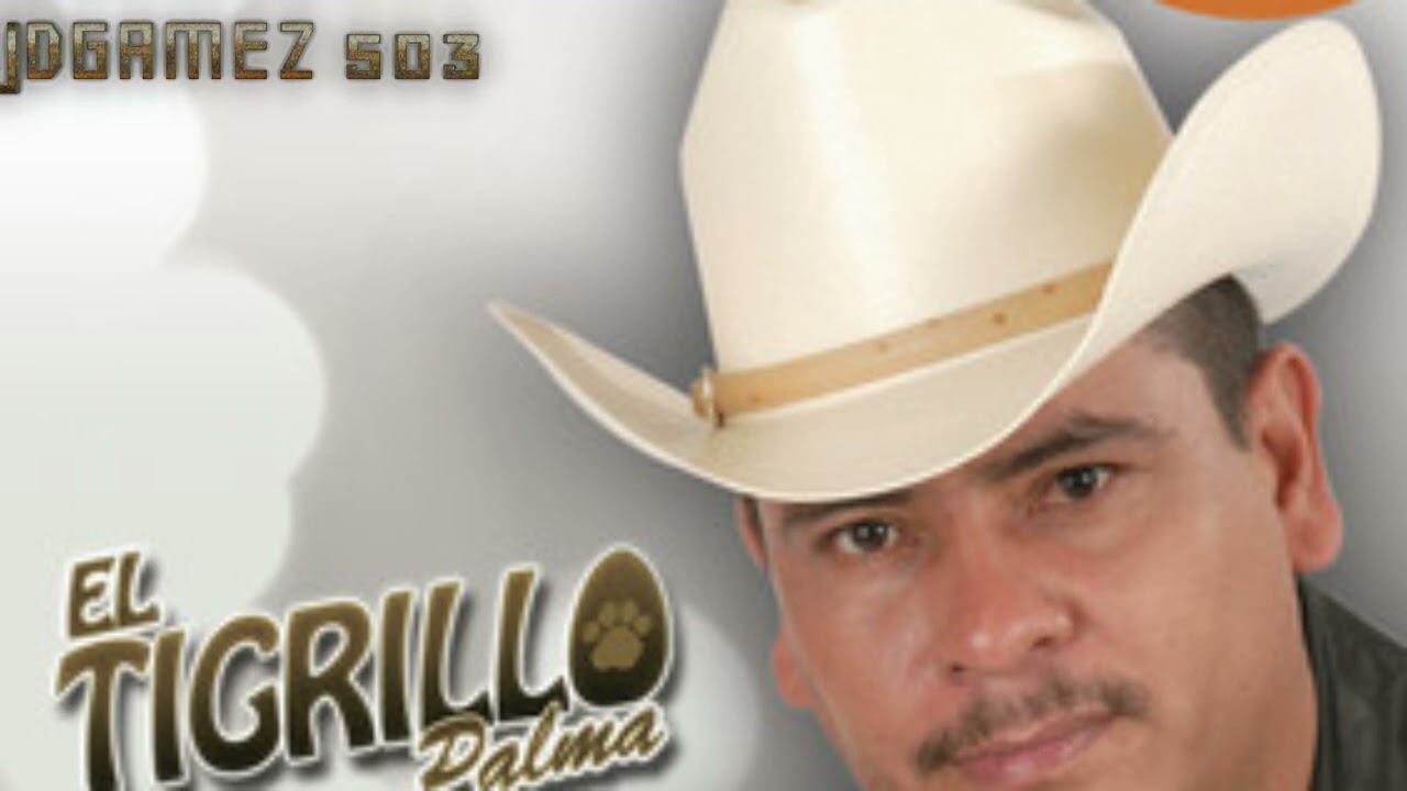 MIX ROMANTICO EL TIGRILLO PALMA 2024
