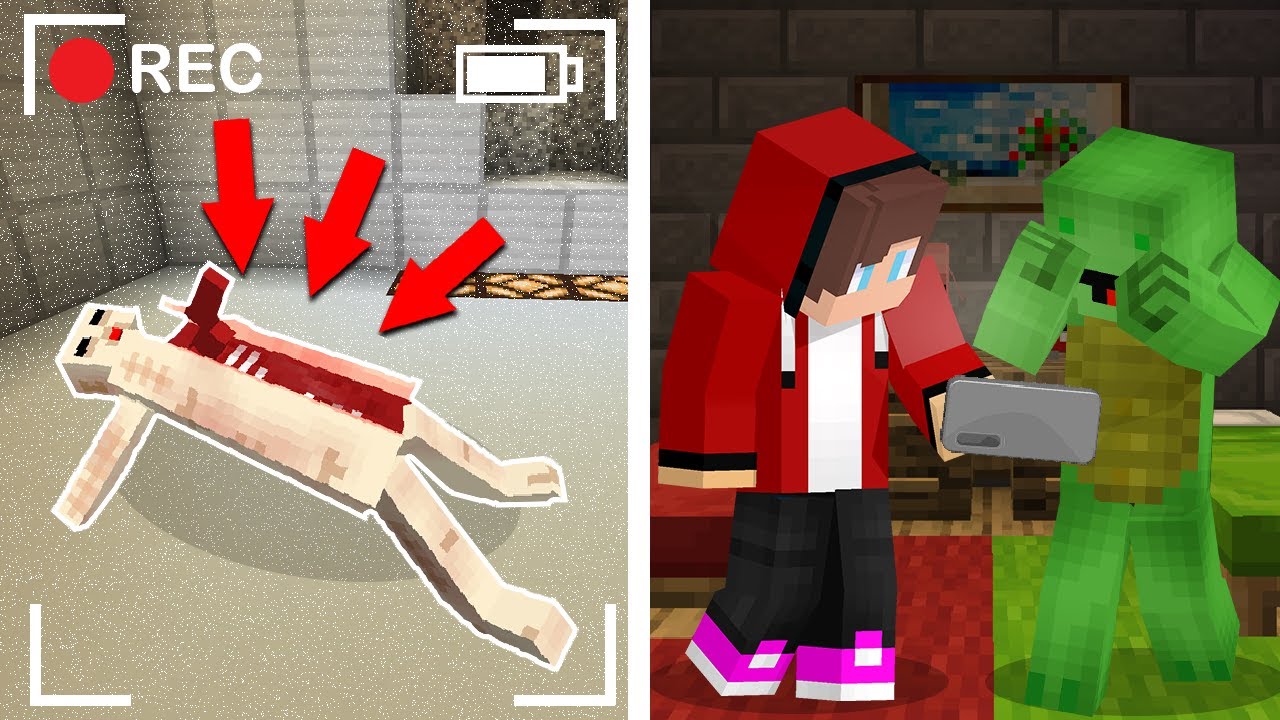 JJ and Mikey Saw a SCARY Patient on The Cameras in Minecraft! Maizen