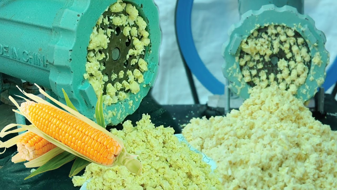 Corn Vs Meat Grinder, ASMR Grinding, Life, How to Grind Corn For Animal Foods