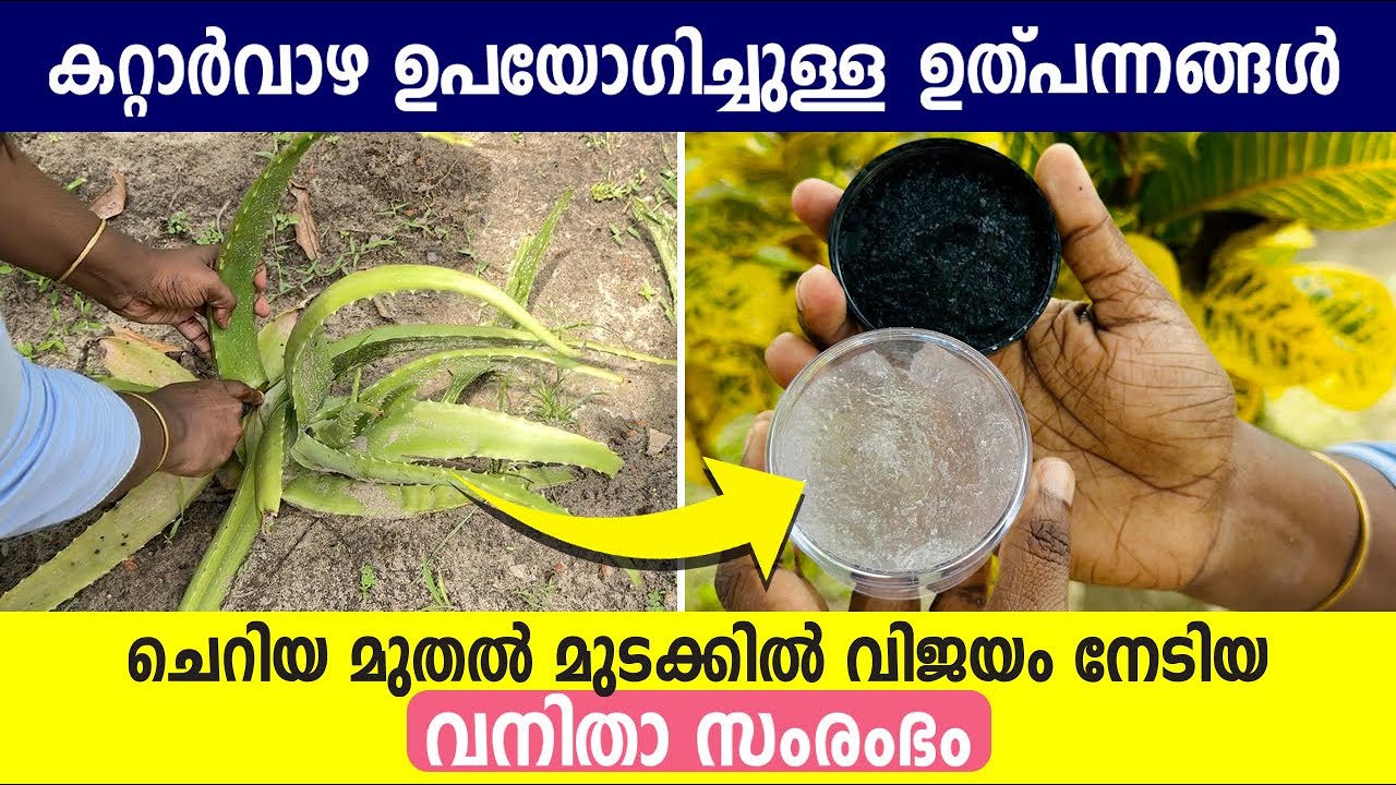 കറ്റാർവാഴ ഉപയോഗിച്ചുള്ള ഉത്പന്നങ്ങൾ | ചെറിയ മുതൽ മുടക്കിൽ വിജയം നേടിയ സംരംഭം | Woman Entrepreneur