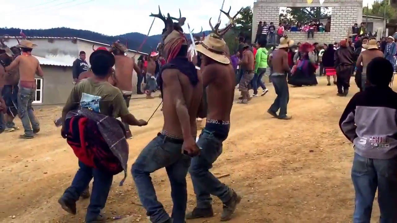 carnaval, nuevo zoquiapam 2016