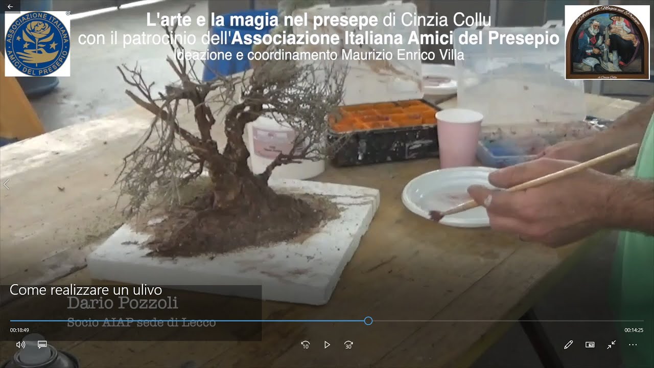 Come realizzare un ulivo