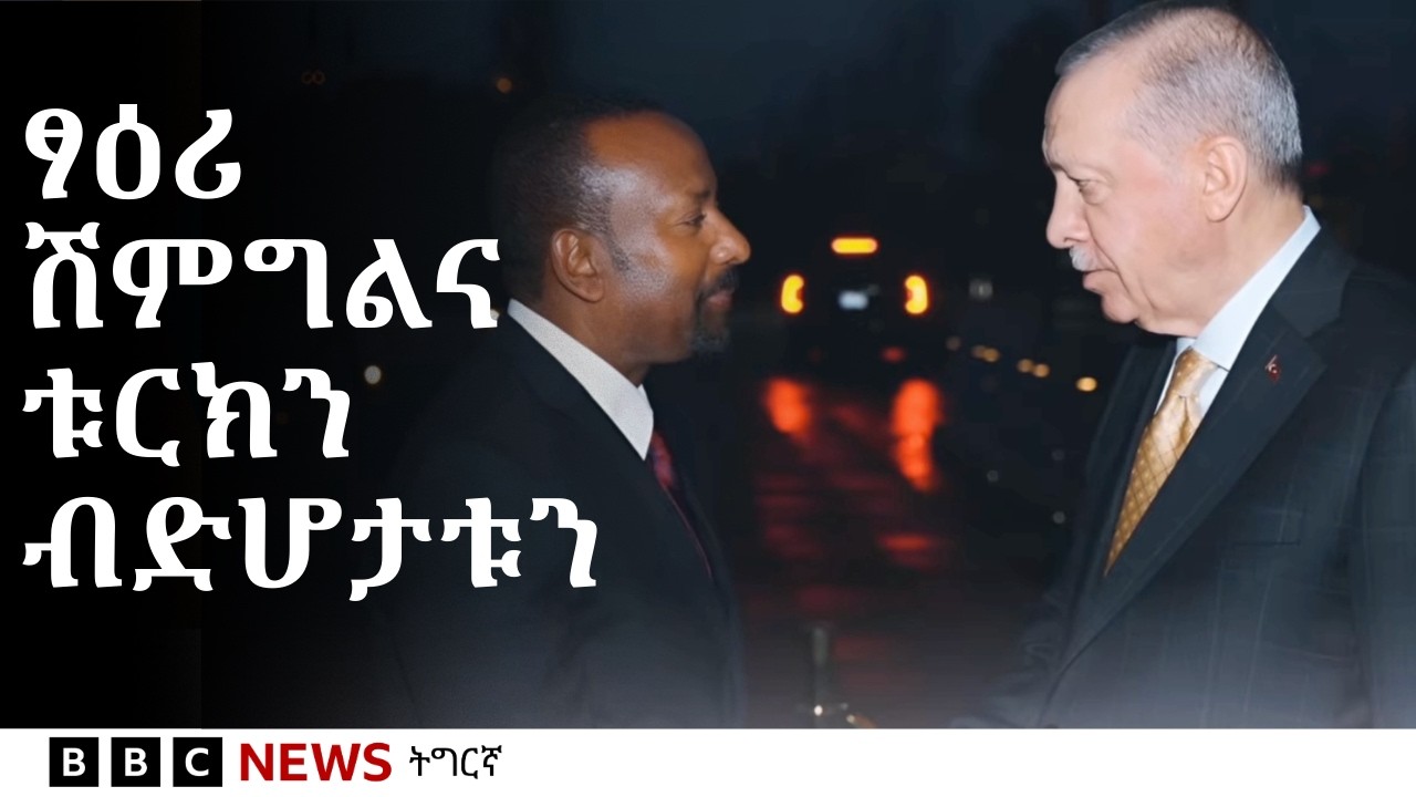 ኣብ ቀርኒ ኣፍሪቃ ዝዓቢ ዘሎ ጻዕሪ ሽምግልና ቱርክን ዝገጠምዎ ብድሆታትን | BBC NEWS ትግርኛ
