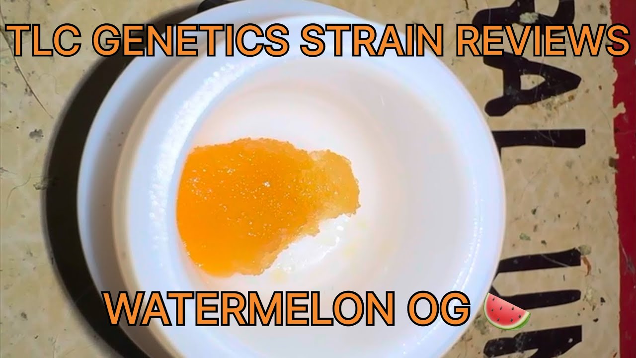 Watermelon OG Cannabis Diamonds (Strain Review) : The TLC Genetic Show