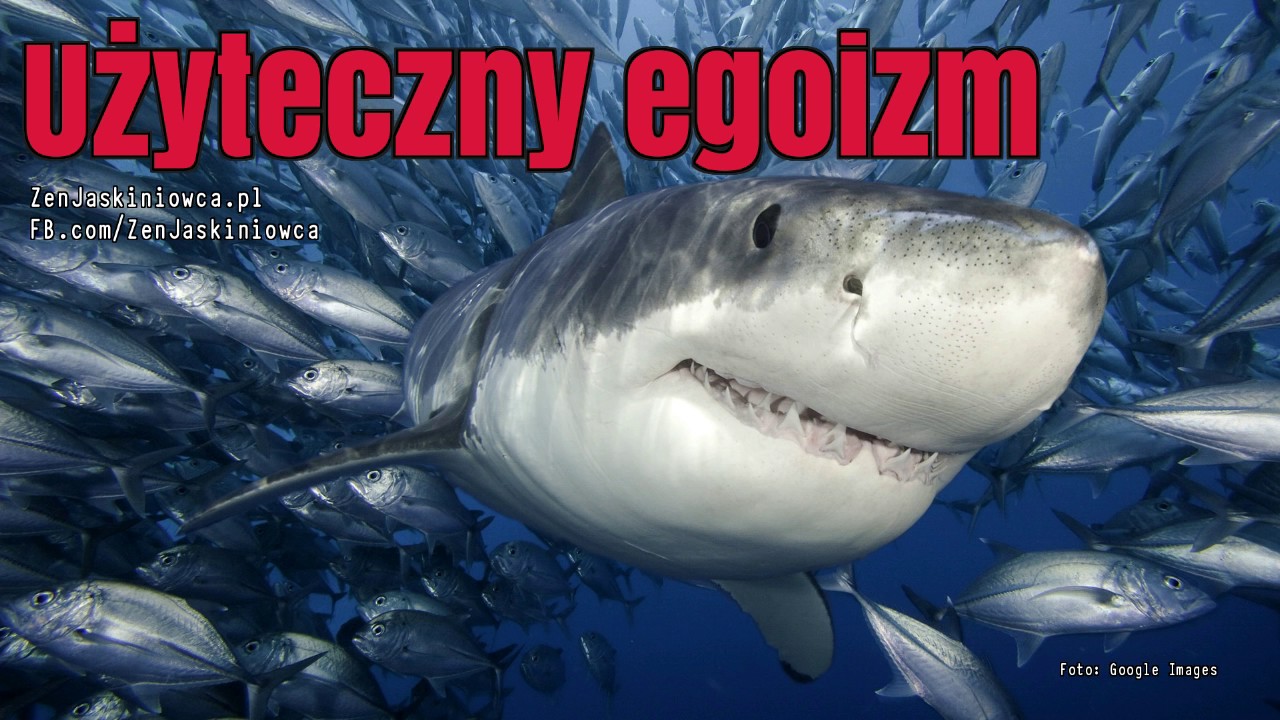 Użyteczny egoizm: jak być silną, kompletną i pełną jednostką [fragment transformacji]