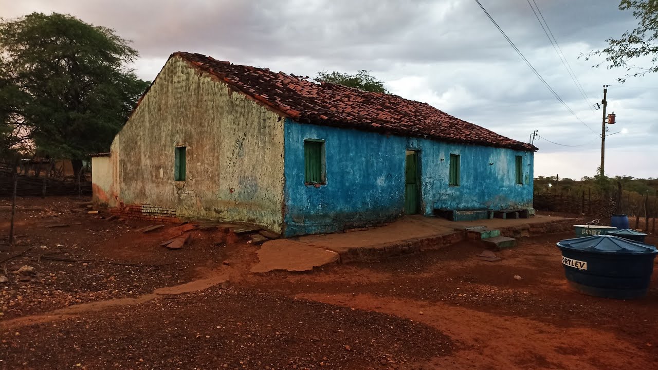 Começando a chover no sertão 🌧️/ Sítio Mamoeiro verdejante pe.