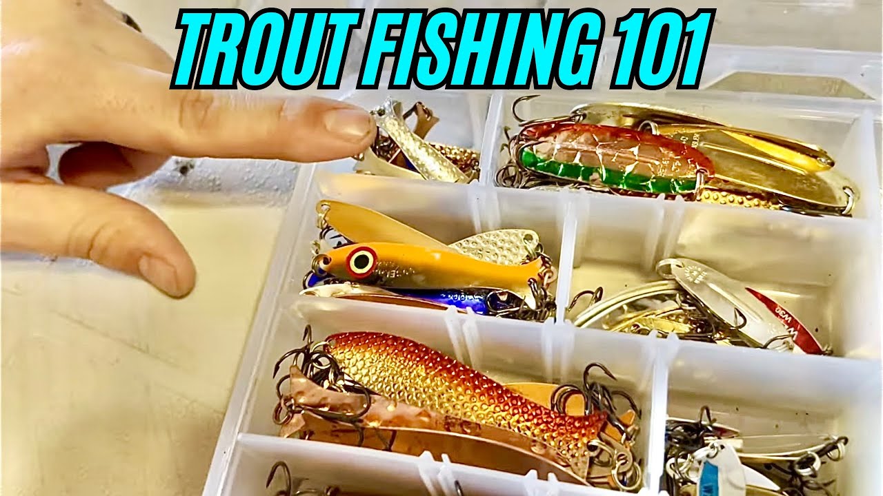 ALGONQUIN TROUT FISHING GEAR YOU NEED