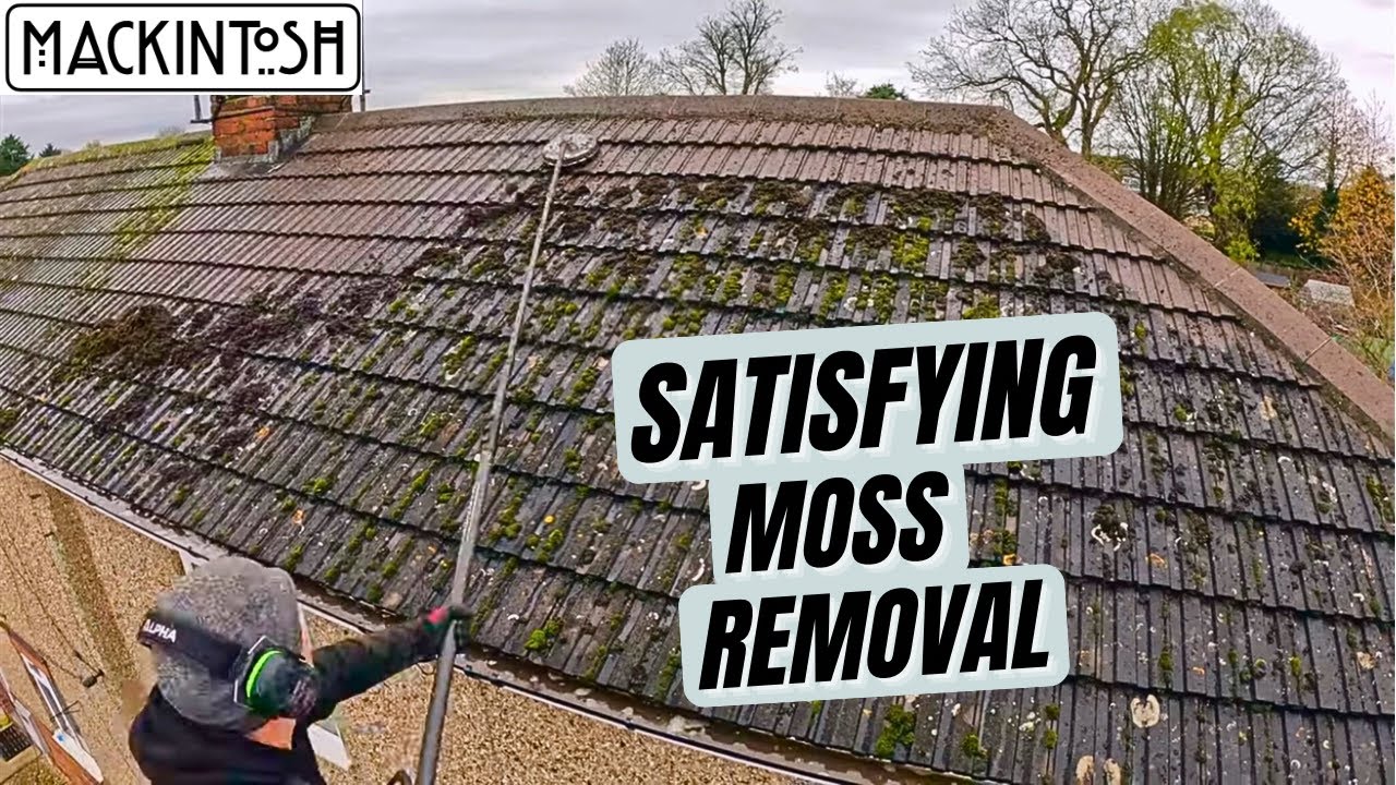 What A Satisfying Roof Clean!