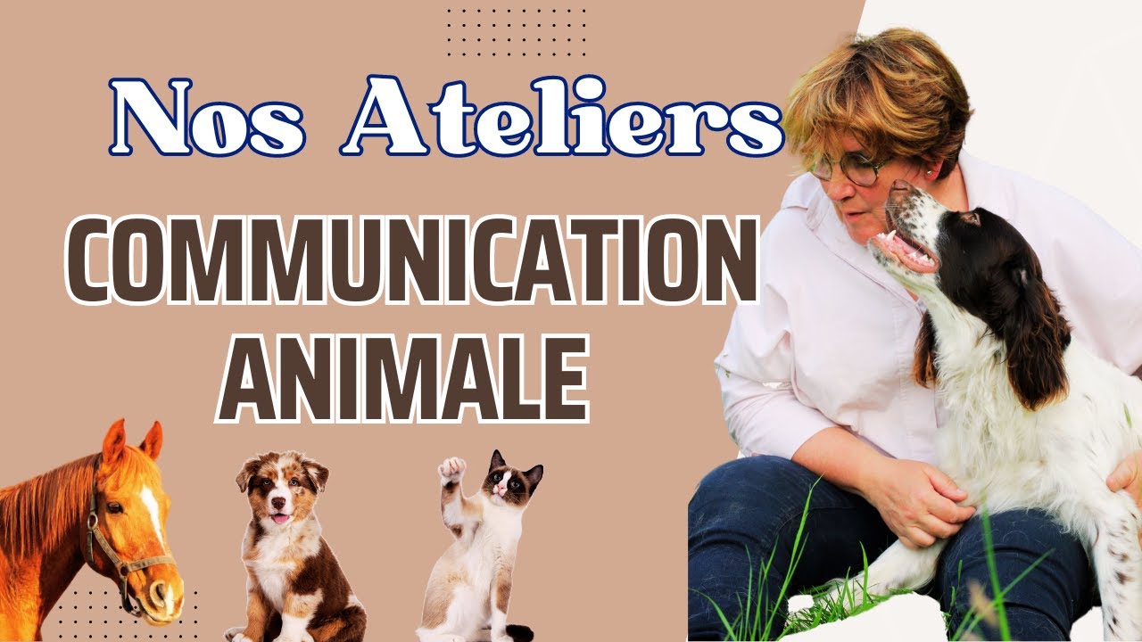 Communication Animale ATELIER | Découvrez les secrets de vos animaux