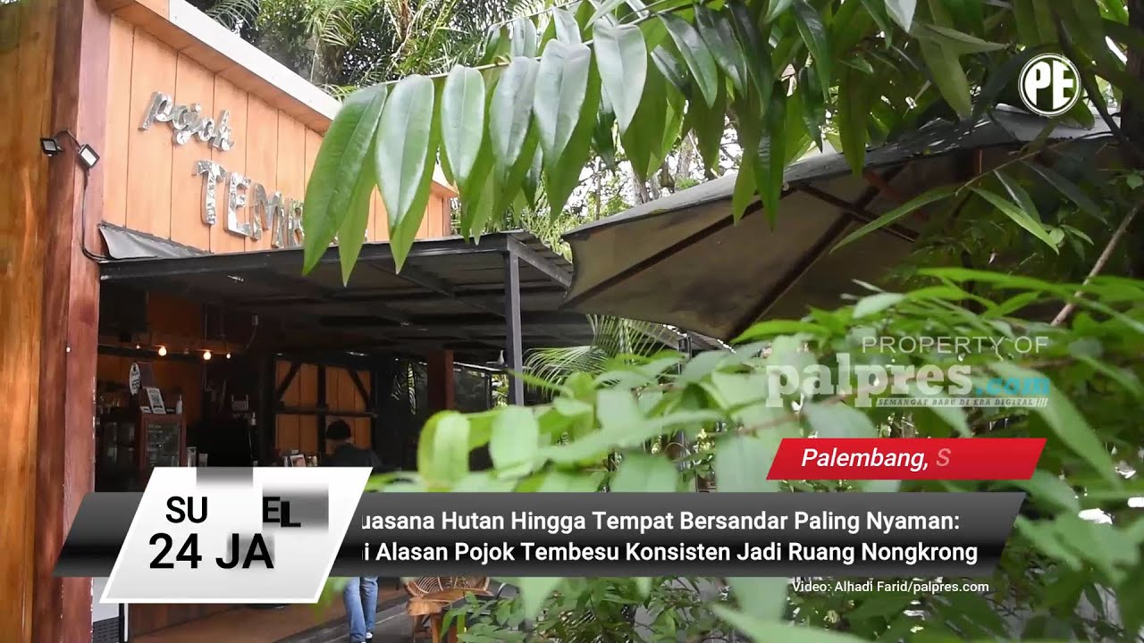 Suasana Hutan Hingga Tempat Bersandar Nyaman:Ini Alasan Pojok Tembesu Konsisten Jadi Ruang Nongkrong