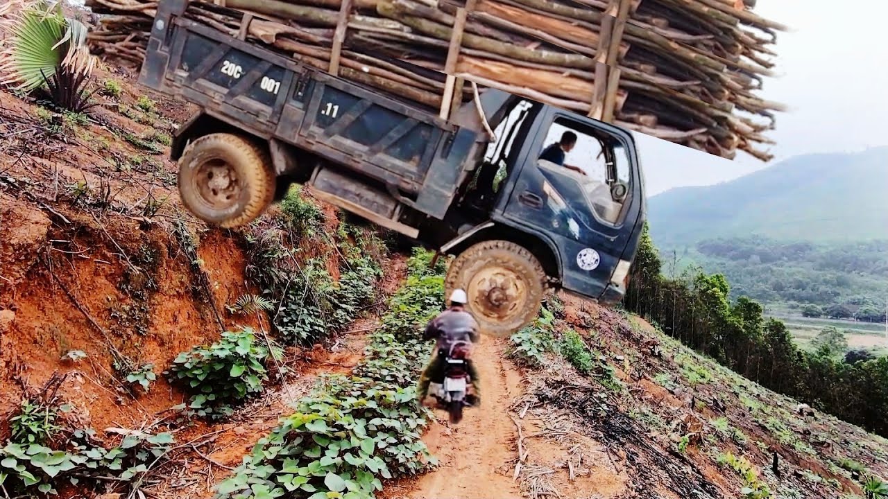 Overloaded vehicle forest | Surprise Payment : My Boss Went Behind His Wife's Back for Me