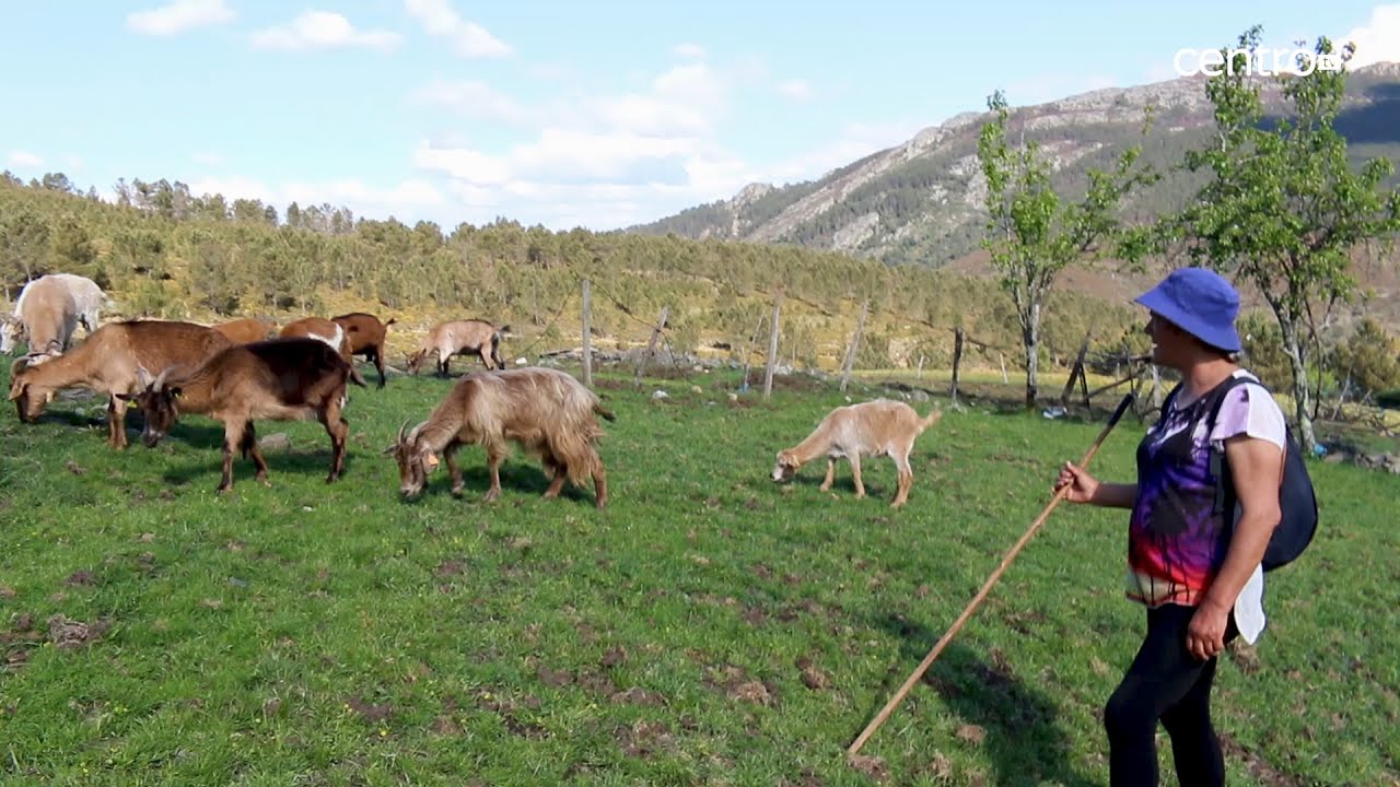 A pastora Elsa é a última habitante de Aigra Velha