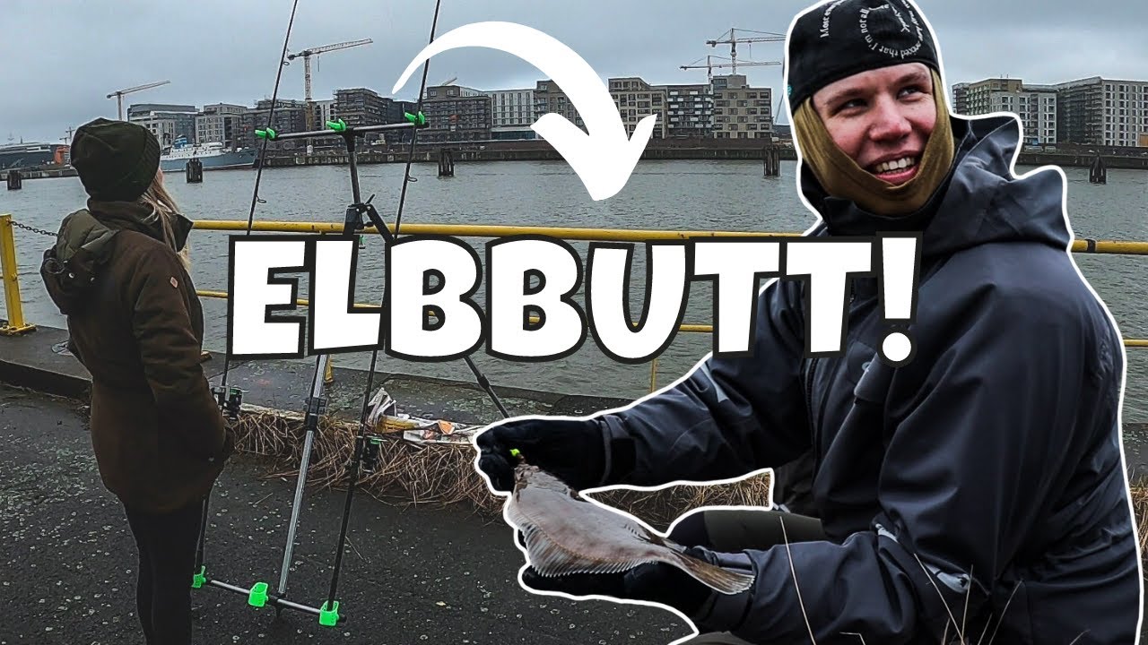 ACHTUNG PLATTFISCH ❗ | Angeln in Hamburg | mit Wattwurm auf Elbbutt - Montage simple erklärt |