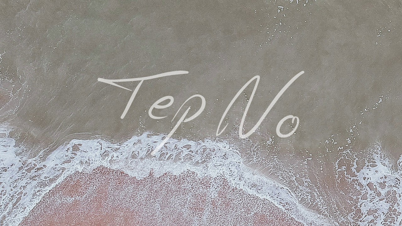 Tep No - Fighting [Ultra Music]