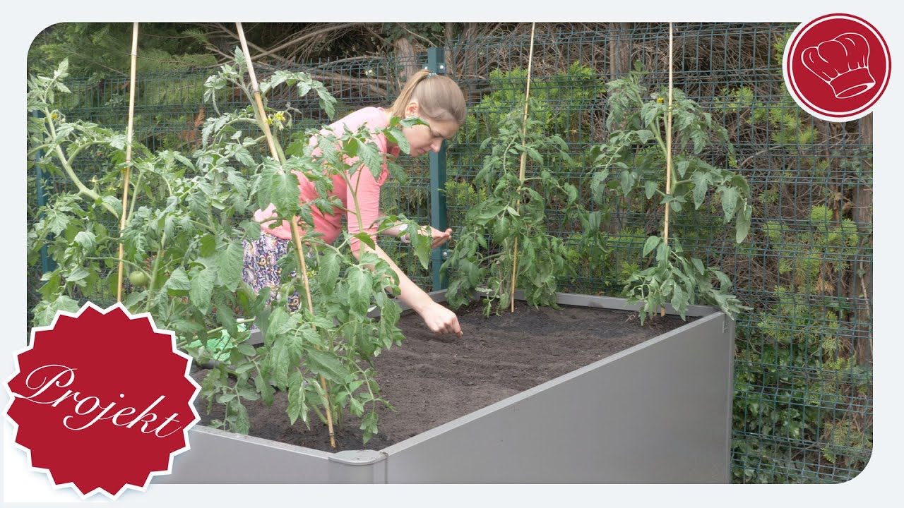 Langlebiges Hochbeet für unseren Garten | elegant-kochen.de