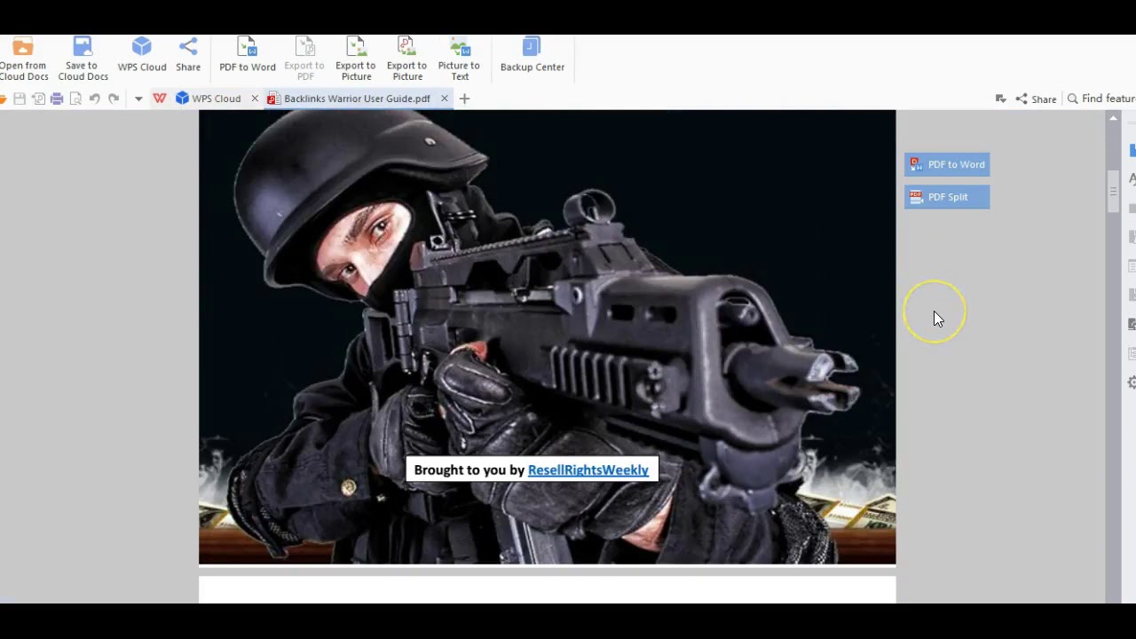 Backlinks Warrior Software - The Wholesale PLR Store Preview