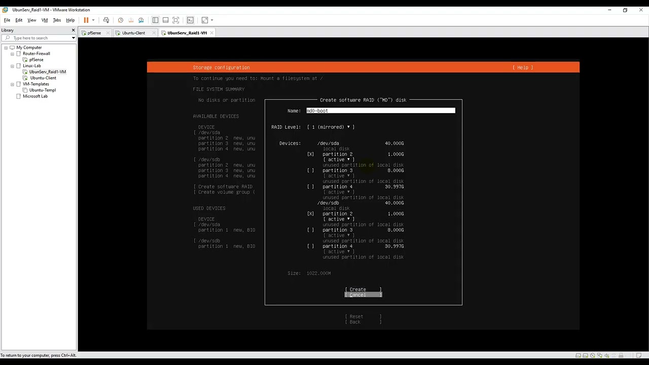Ubuntu Server 25.04 Raid1 Setup -1