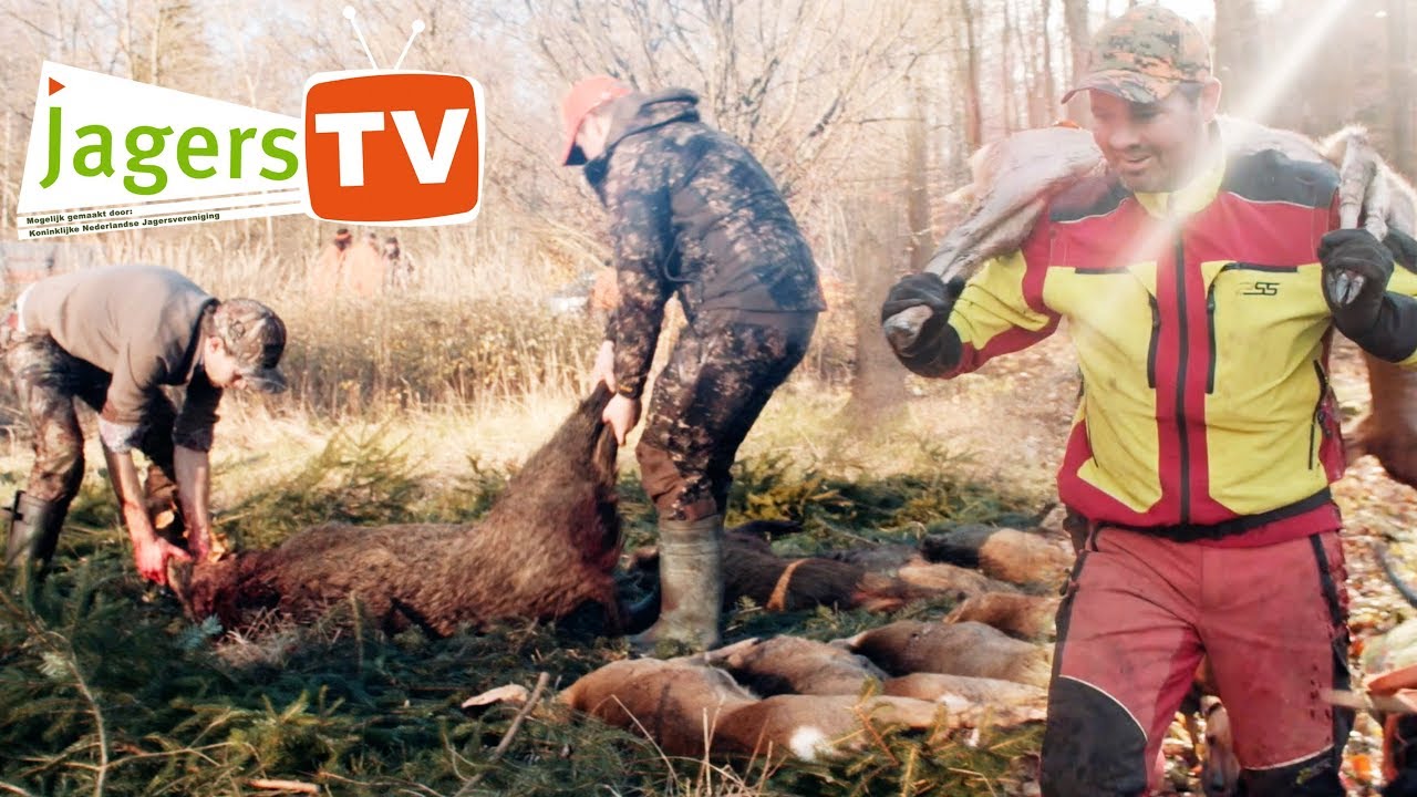 JagersTV - Drukjacht Duitsland