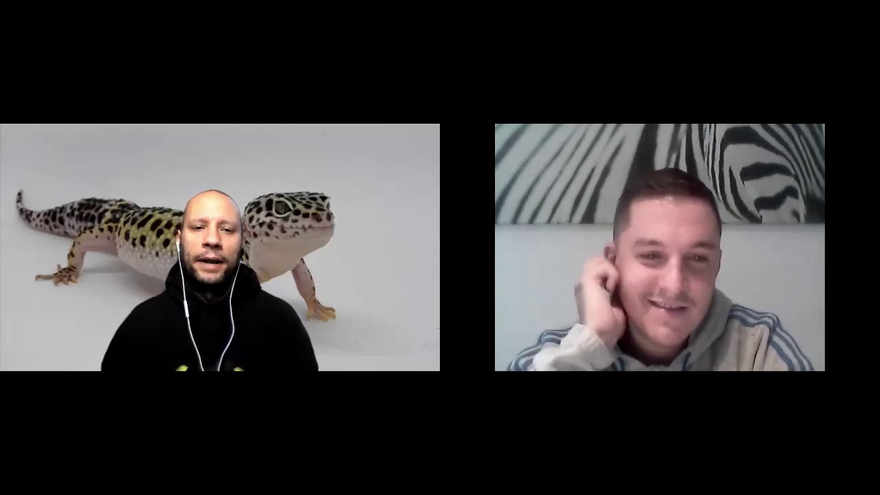 Brumación hibernación geckos deserticos con Antonio Folch