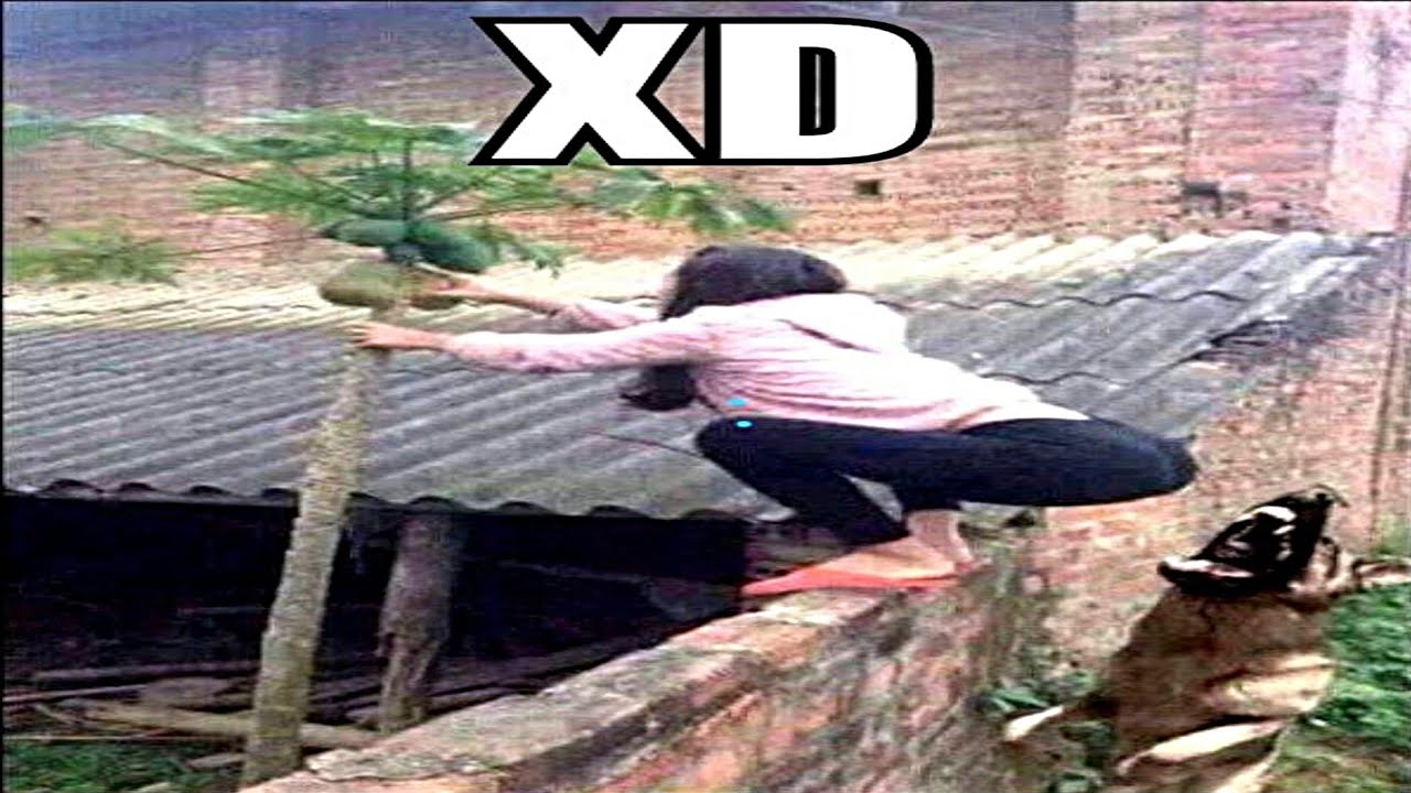 SI TE RÍES PIERDES NIVEL DIOS 😎[999.99 IMPOSIBLE NO REÍRSE] 😅Videos De Risa Muy Graciosos 2024 😂