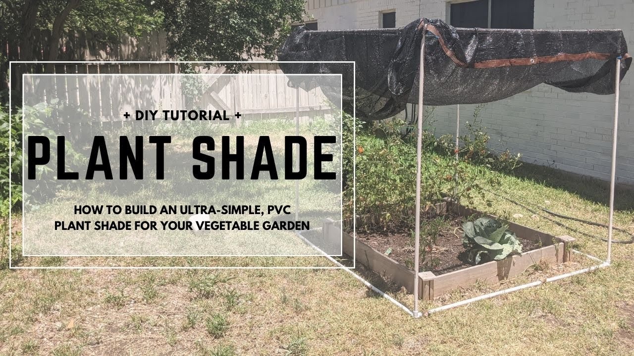 DIY: PVC Plant Shade | Simple plant shade to keep tomatoes cool! | Cody's Craft Corner