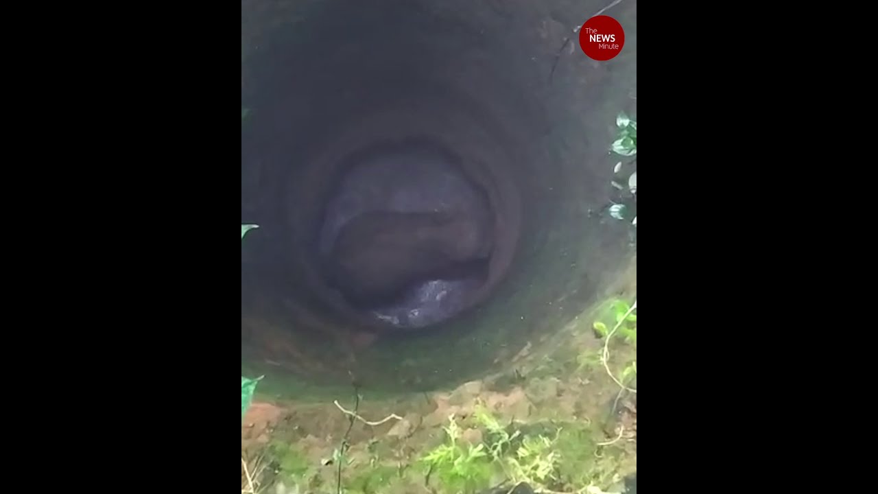 Elephant falls into well in Kerala, rescue efforts on