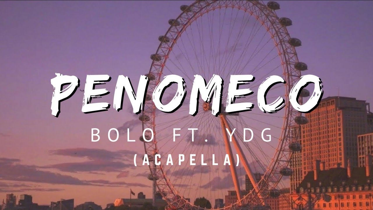 PENOMECO - BOLO ft. YDG ( Acapella ), lyrics video