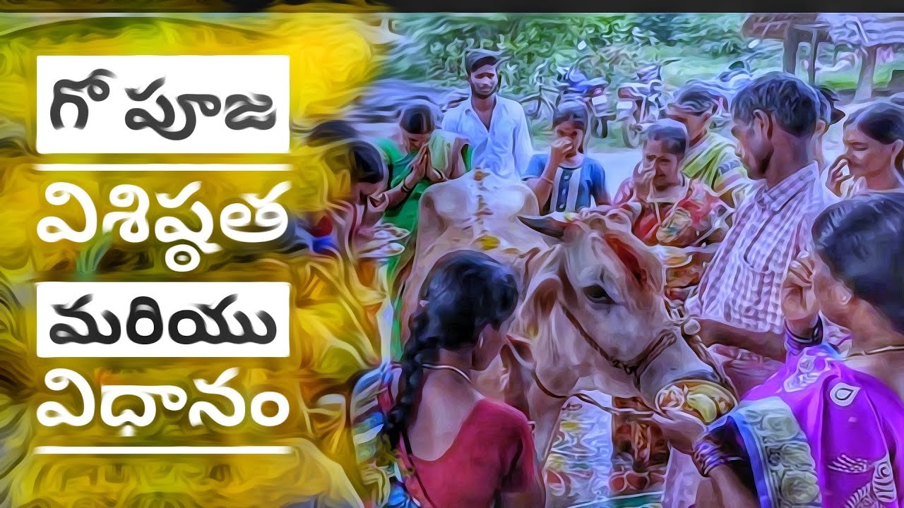 go pooja vidhanam | how to do go pooja in village | village festivals | my village