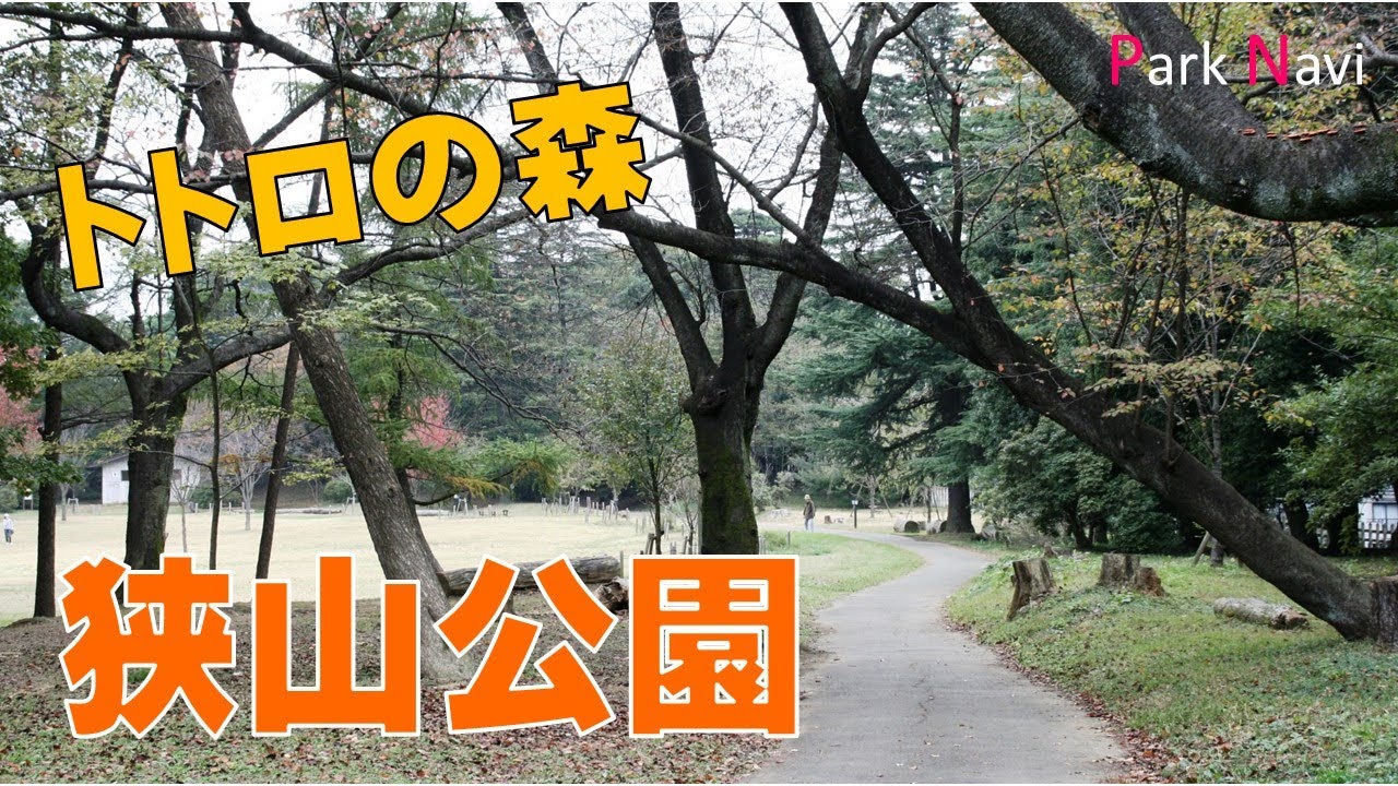 狭山公園 | トトロの森を歩いてみよう