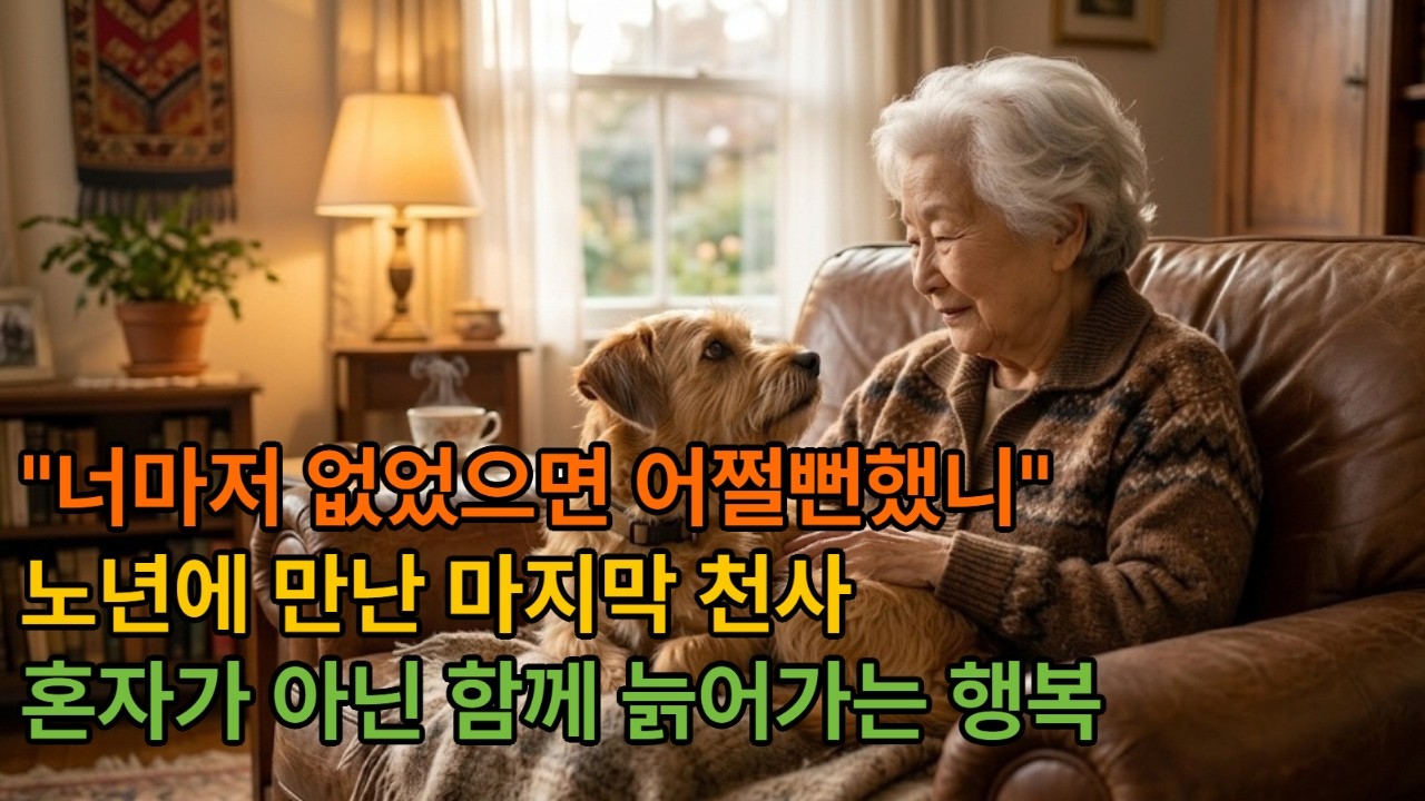 노년에 강아지를 키우는 것이 축복인 이유 (부모님께 꼭 보여드려야 할 영상)