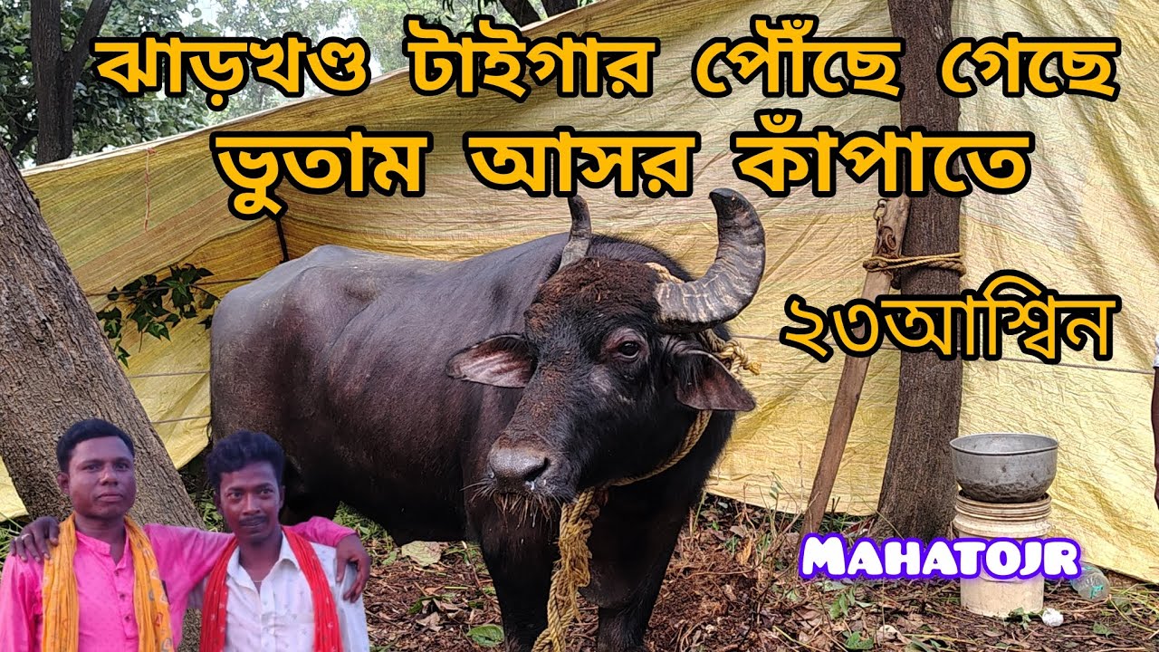 ২৩আশ্বিন ভূতাম আসরের ১নং কাড়ার জোড়া ঝাড়খণ্ড থেকে আগত