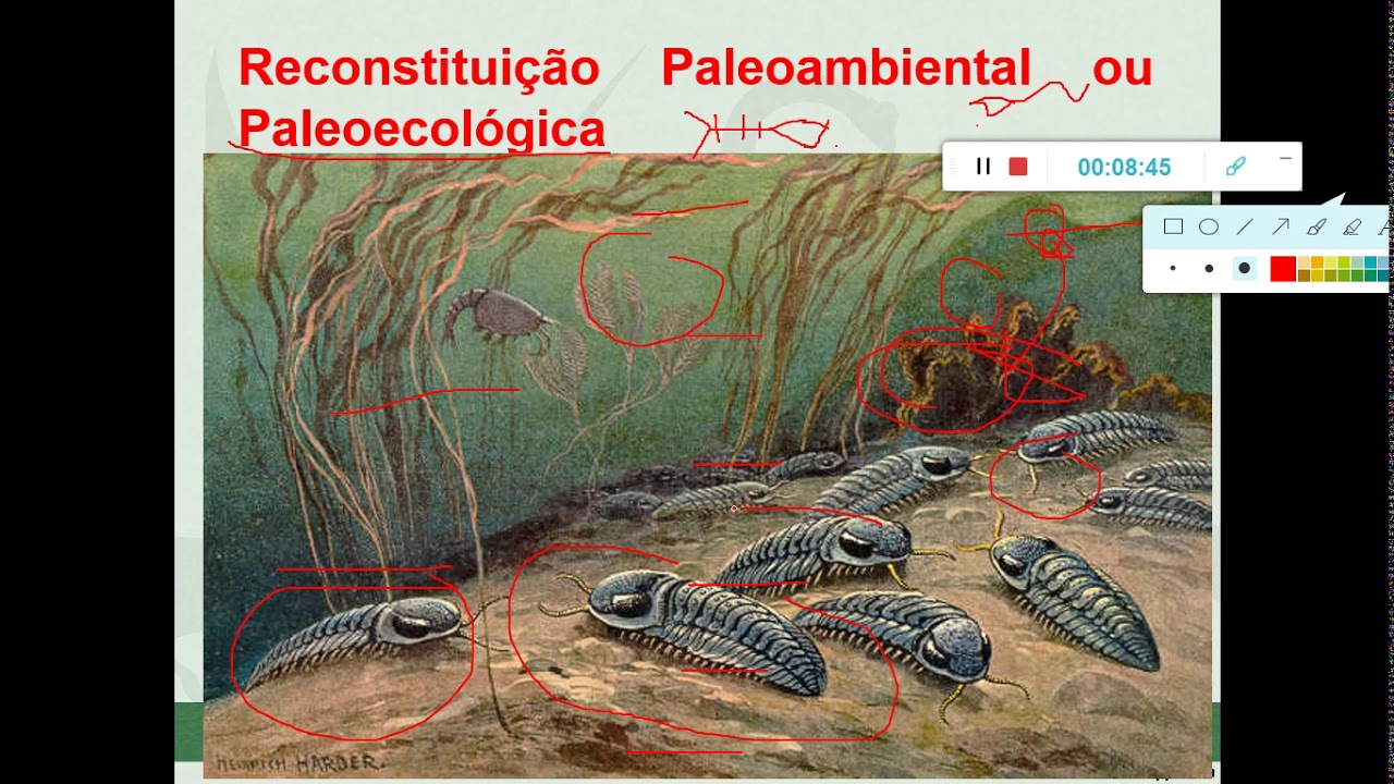 Aula Paleoecologia