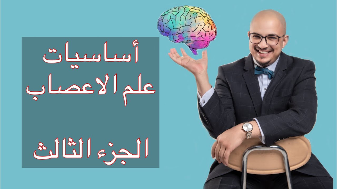 أساسيات في علم الأعصاب(جزء 3)