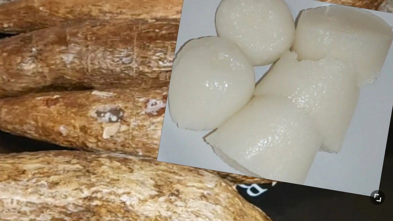 YEKOLA KOSALA KWANGA YA KITOKO/ KIPUKA NA NDAKU/ YABA TEKE
