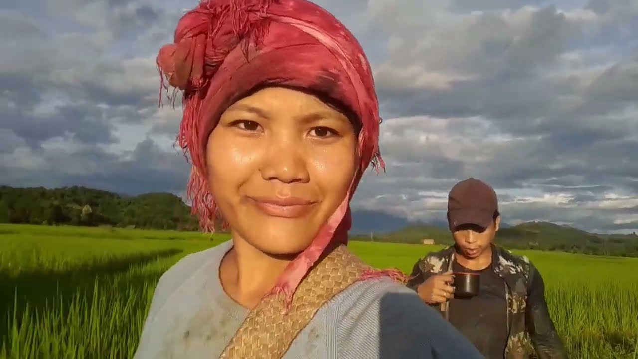 Tohkhom anommin,nehkhom atuiye || working together in a paddy field 🌾 🤗