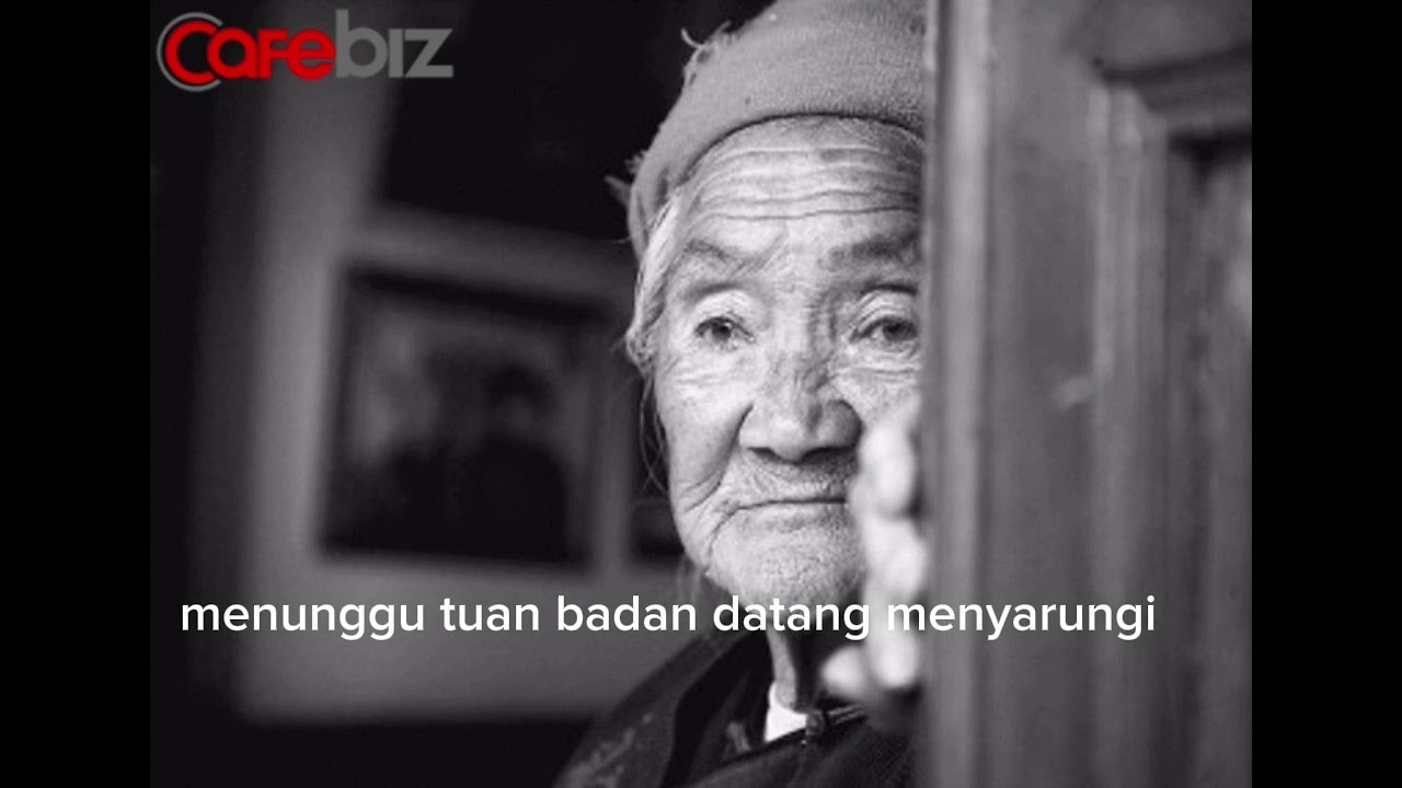 PULANGLAH DI PAGI RAYA by T_Rexz