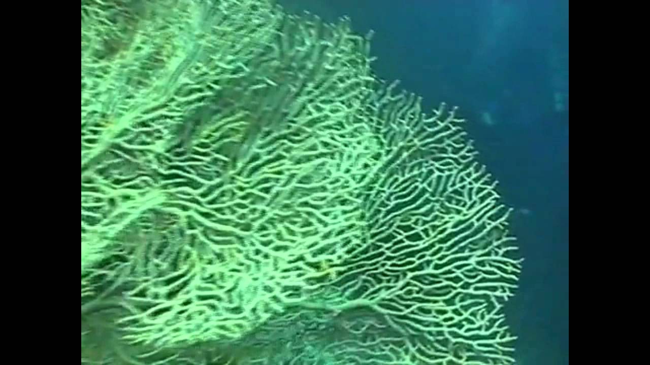 Sustainable Seabed Mining: A New Concept For Atlantis II Deep