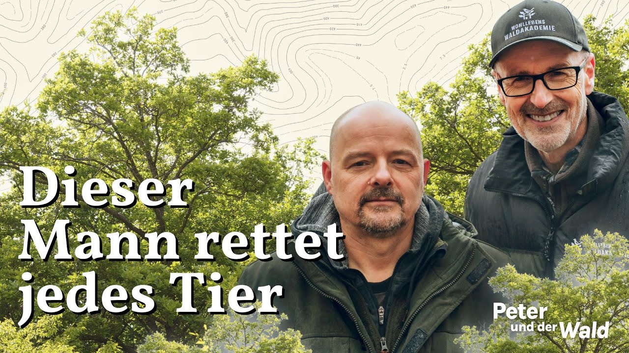 Stefan Bröckling – warum wir Feuerwerke verbieten sollten | Peter und der Wald – Podcast