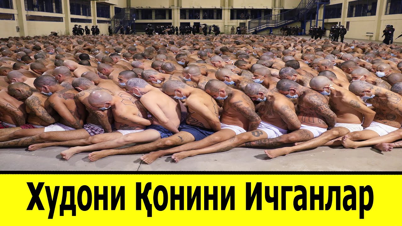 КАМОКХОНАДА УТИРИБ ХУДОНИ КОНИНИ ИЧГАНЛАР