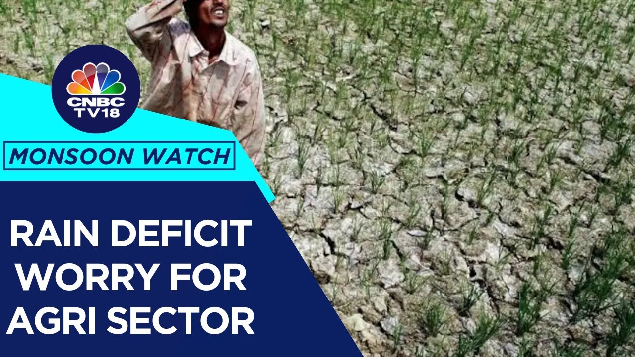 A Look At The Sluggish Monsoon Progress, Its Impact On Sowing & More